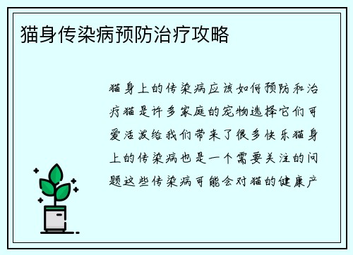猫身传染病预防治疗攻略