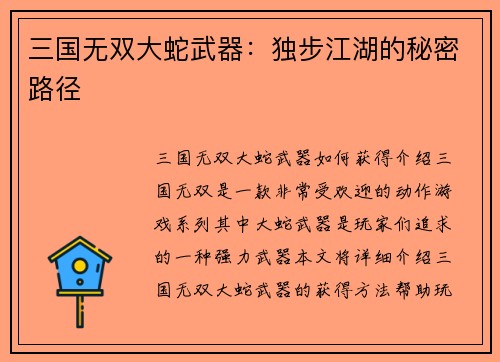 三国无双大蛇武器：独步江湖的秘密路径